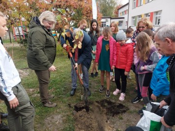 OWOCE PAMIĘCI – raport na koniec sezonu 2021, 